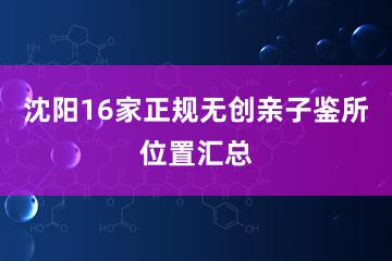 沈阳16家正规无创亲子鉴所位置汇总