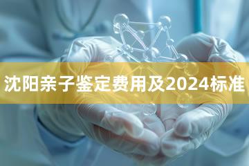 沈阳亲子鉴定费用及2024标准