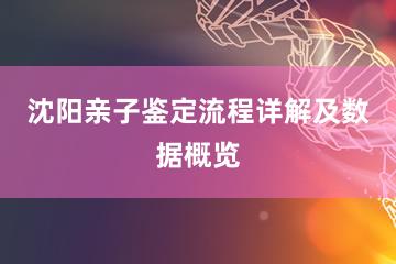 沈阳亲子鉴定流程详解及数据概览