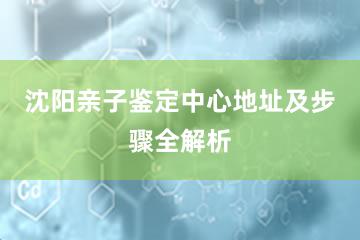 沈阳亲子鉴定中心地址及步骤全解析