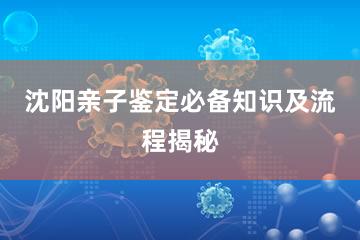 沈阳亲子鉴定必备知识及流程揭秘