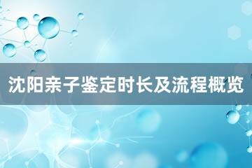 沈阳亲子鉴定时长及流程概览